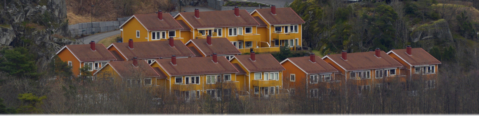 Tvetenelia borettslag sett fra Salsås. Foto: Christer M. Fekjan © 2020